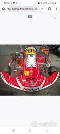 Birel art