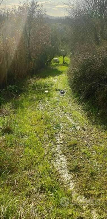 Immobile in asta di 41362 m² a Pianella - Vista 4