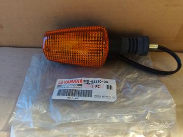 FR ECCIA INDICATORE DIREZIONE POSTERIORE ORIGINALE