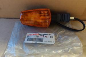 FR ECCIA INDICATORE DIREZIONE POSTERIORE ORIGINALE