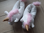 Immagine 4