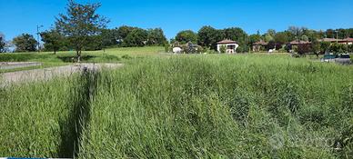 Lotto edificabile in collina Montalto RE