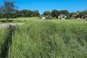 Lotto edificabile in collina Montalto RE