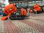 Immagine 8