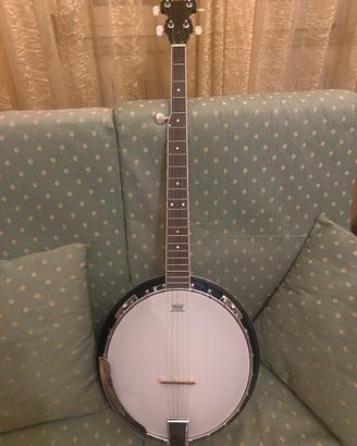 Banjo 5 corde Feeling