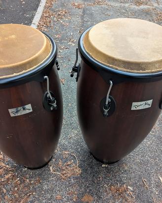 CONGAS 