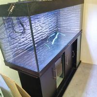 acquario Juwel Rio 400 