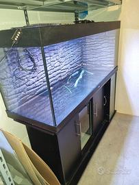 acquario Juwel Rio 400 