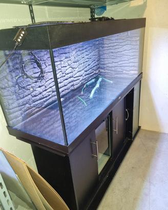 acquario Juwel Rio 400 