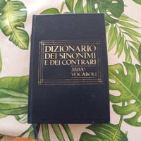 dizionario