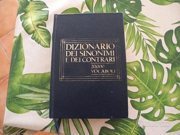 dizionario