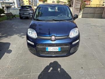 Fiat panda 1.0 hybrid