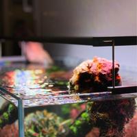 Plafoniera LED RGB per Acquario 100 cm