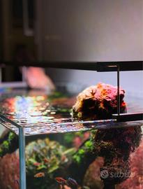 Plafoniera LED RGB per Acquario 100 cm
