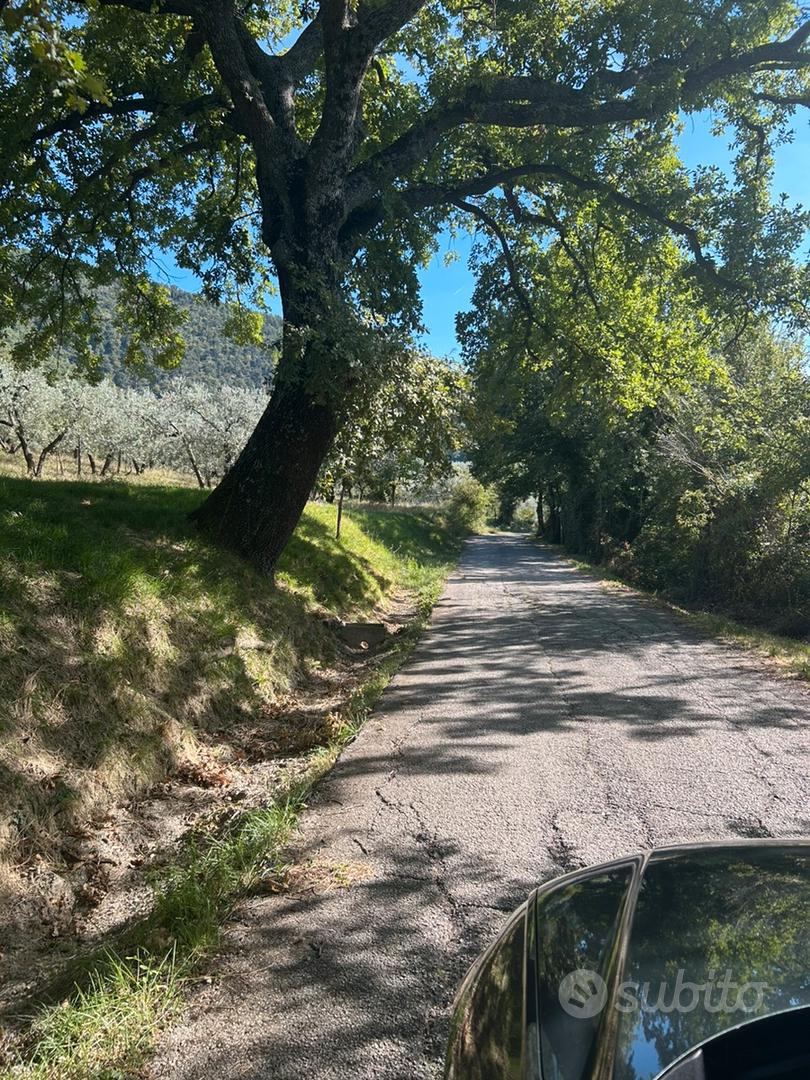 Terreno agricolo - Vista 3