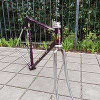 Telaio Daccordi acciaio Ishiwata 