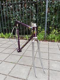 Telaio Daccordi acciaio Ishiwata 