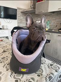 Borsa x trasporto cani dí piccola taglia