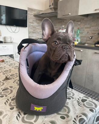 Borsa x trasporto cani dí piccola taglia