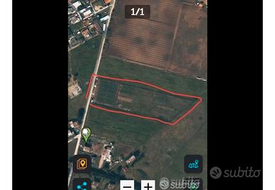 Terreno agricolo