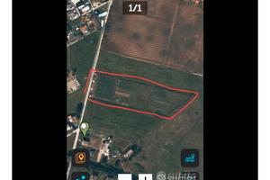 Terreno agricolo