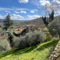 Rustico +terreno in umbria