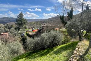 Rustico +terreno in umbria