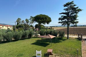 1/15 agosto mare e quiete