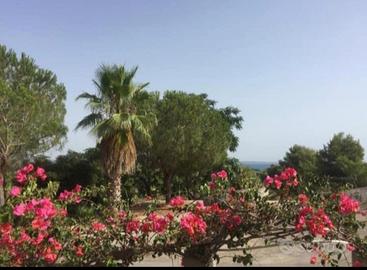 Splendida villetta a schiera vista mare