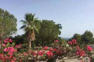 Splendida villetta a schiera vista mare