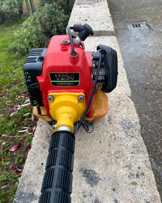 Decespugliatore Kawasaki th 24