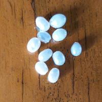 Lotto perle d'acqua dolce