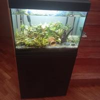 Acquario con mobile 70l