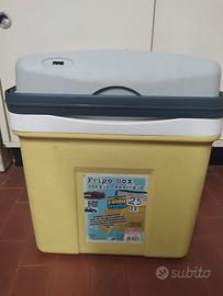 frigorifero da viaggio 