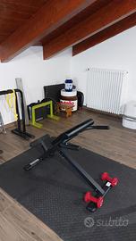 Panca Hyperextension Homcom