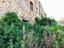 Immagine 14