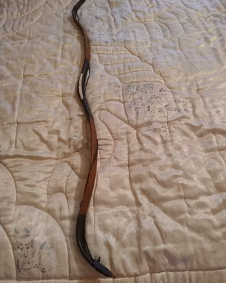 arco tartaro