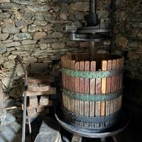 Torchio per uva