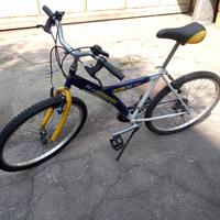 Bicicletta mountain bike