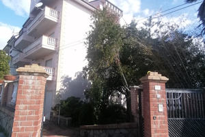 Stabile con grande giardino