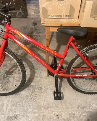 Bicicletta donna