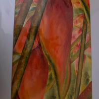 Acquarelli