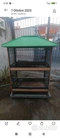 gabbia x pappagalli