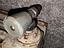 Immagine 6