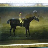 6 dipinti inglesi su lastra di vetro POLO