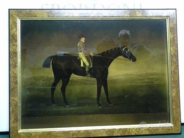 6 dipinti inglesi su lastra di vetro POLO