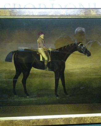 6 dipinti inglesi su lastra di vetro POLO