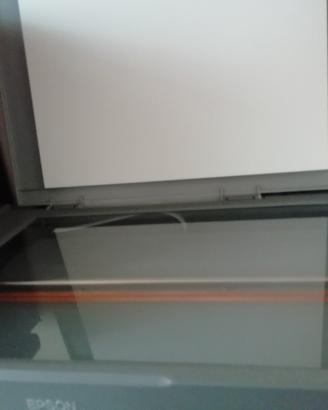 Stampante epson stylus