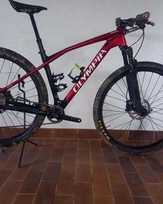 MTB Olympia Iron 29