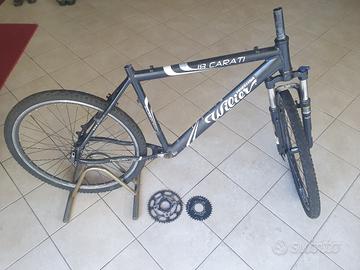 telaio bicicletta